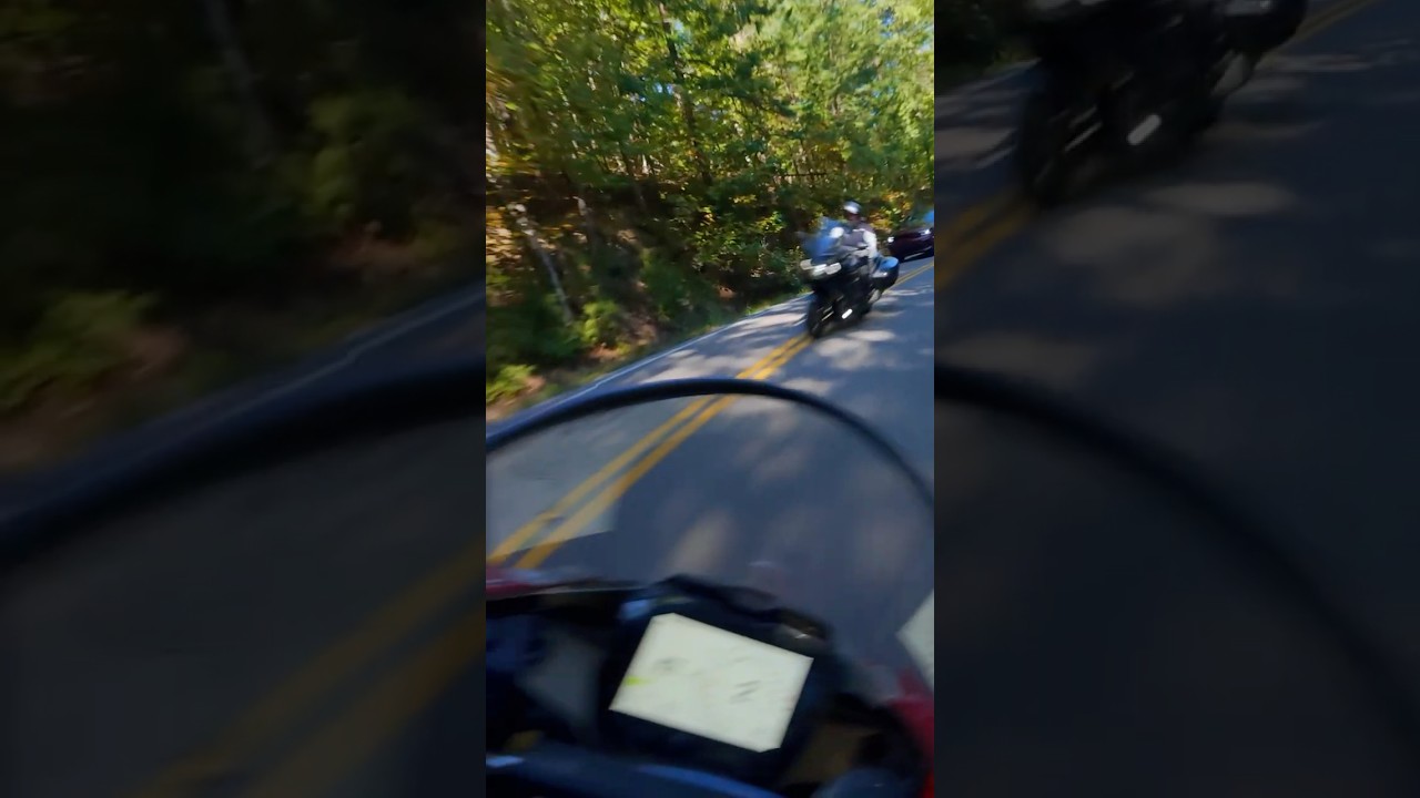 Tail of the Dragon Near Miss Head on Collision #tailofthedragon #motorcycle #bikelife #shorts  😱🤬