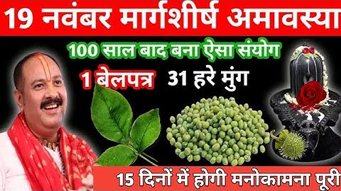 19 नवंबर मार्गशीर्ष बुधवार अमावस्या के दिन 1 बेलपत्र और हरे मुंग वाला उपाय जरुर करें||pradeep mishra
