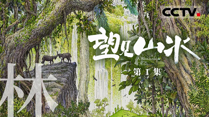 《望見山水——綠水青山生態興》詩意呈現綠色發展之路 一起從全新視角看見中國生態保護！ EP01【CCTV紀錄】 - 天天要聞