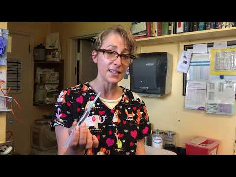 Video: Preventieve Medicatie Tegen Hartworm - Katten - Behandeling Van Hartwormziekte