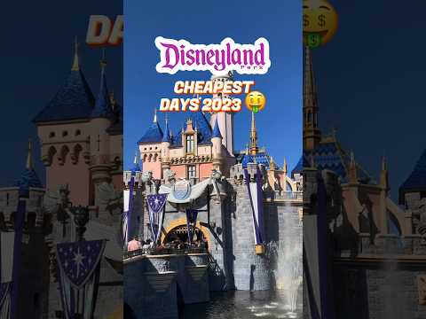 Video: Disney Theme Park biletlərinin qiyməti 2031-ci ilə qədər ikiqat artacaq, Ekspertlər