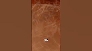 How to upgrade the Lil