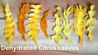 Dehydrated citrus leaf garnish ideas for cocktails and mocktails