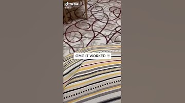 Thumbnail of Cat Calling Sounds