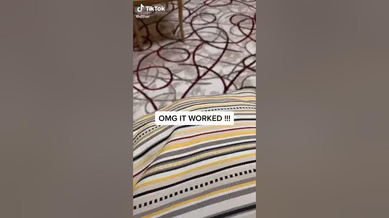 Cat Calling Sounds