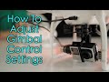 How To Adjust Gimbal Control Settings - DJI Phantom
