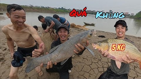 Cuối Cùng Lưới To Cũng Săn Được Cá Trắm Đen Và Chép Khổng Lồ / HIỆP CUỘI TV