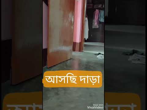 ভিডিও: আমার পোষা প্রাণীর ওষুধ দেওয়ার উপযুক্ত সময় কখন?