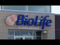 Biolife plasma services
