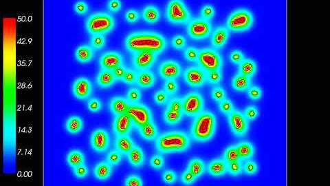 Cell Aggregation (Adhesion + Self-Generated Gradient Chemotaxis)