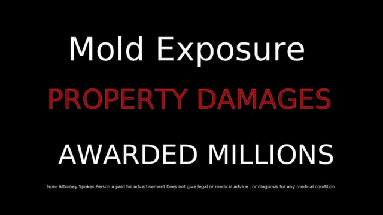 Mold Lawyer, Mold Lawyers, 844 Mold Law Mold Exposure Victims get