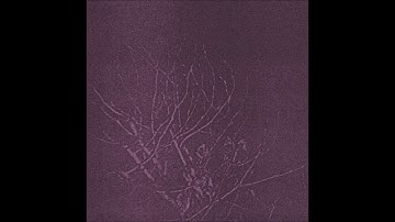 Undveld - Vågblåsare [OWCLTD018]