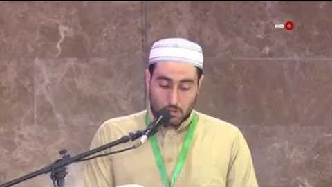 القارئ مصطفئ خضر جراد الراوي