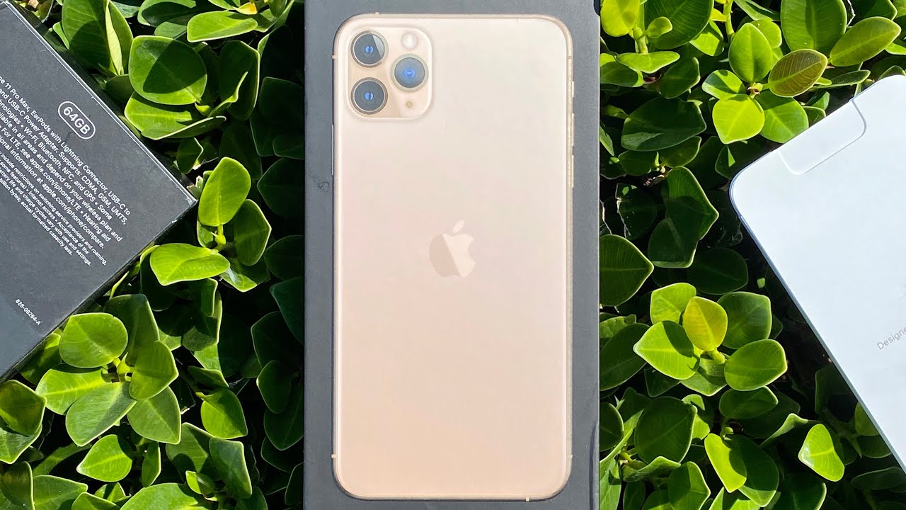 iPhone 11 Pro Max 6 Months Later: Photos I've Taken 