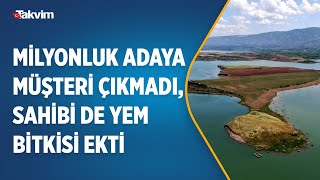 Milyonluk adaya müşteri çıkmadı, onlarda adayı sürüp yem bitkisi ekti
