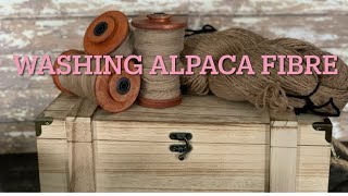 Washing Alpaca Fibre