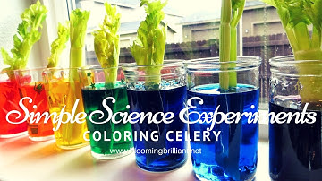 Simple Science Experiments for Kids S1 E1 Coloring Celery