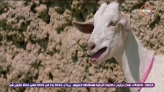 8 الصبح - صناع وأبطال فيلم 