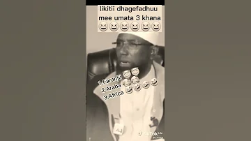 Shek Amin Ibro Hedduu Namatti Tolaaaa 
