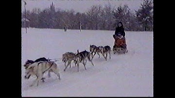 Aerosmith "Just Push Play" Record Release March 2001