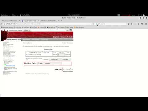 Using Burp to Bypass Hidden Form Fields