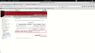 Using Burp to Bypass Hidden Form Fields