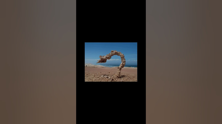 sabías que esto sucede cuando un rayo cae sobre la arena #viral #short #datocurioso