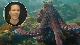 British Columbia woman recounts remarkable encounter with giant octopus