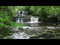 Forest Nature Sounds - Light Mountain Waterfall - 8 Hour Birdsong Version - Sleeping Series Ep.7