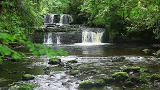 Forest Nature Sounds Relaxing Waterfall-Birds Chirping Sleeping Sound-Water \& Birdsong Meditation