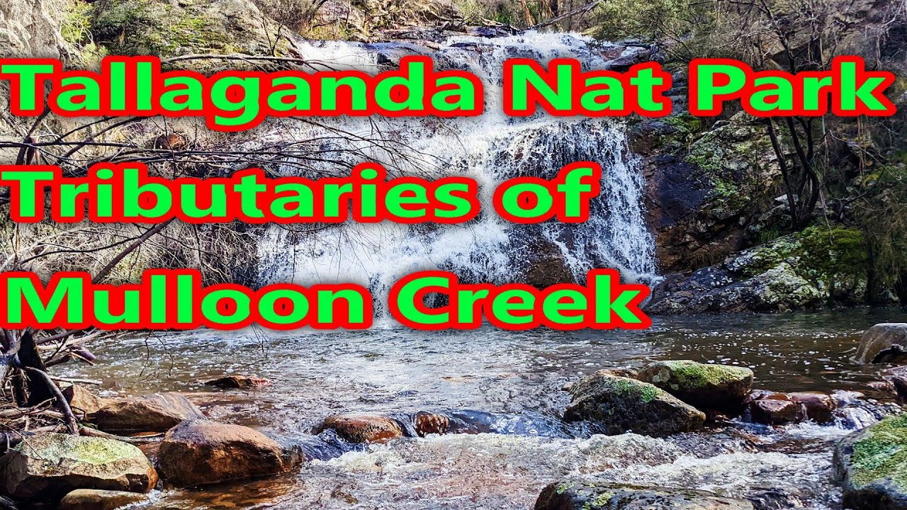 Tributaries of Mulloon Creek, Tallaganda Nat Park-South East NSW