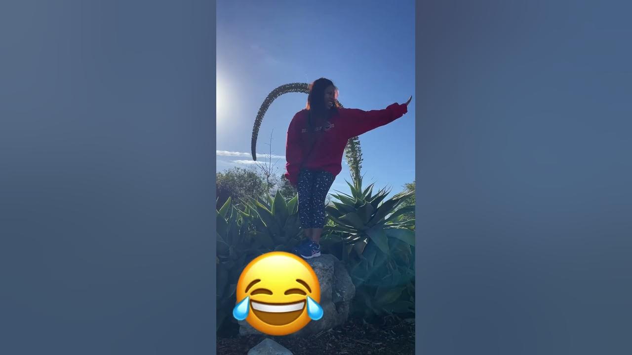 Urban forest Huntington Beach hike 2023 YouTube