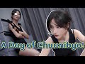 An Anime A Day Keeps The Doctor Away.Motion capture actress imitates a Japanese samurai!