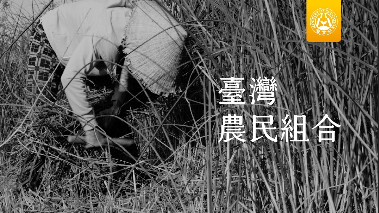 教育部「補課了沒」臺灣農民組合 縮圖