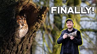 Bird Photography At Rspb Nene Washes