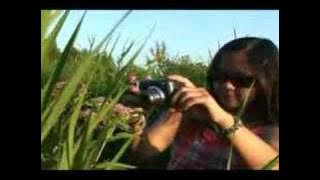 Pasangan Jiwa - Katon Bagaskara