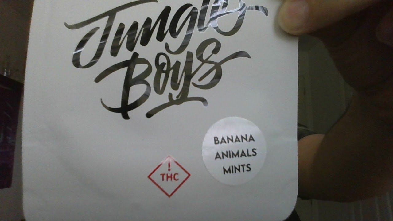 Jungle Boys Review DONE RIGHT!?! - Banana Animals Mints Flower