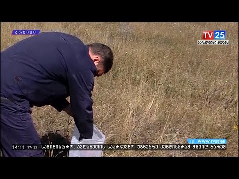 უკანონო ნადირობის 357 ფაქტი გამოვლინდა