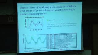 Complexity and Simplicity in Biological Systems