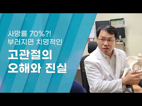 [Dr.Log] 사망률 70%?! 부러지면 치명적인 고관절의 오해와 진실