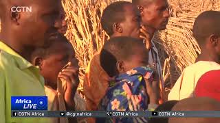 Police Confirm Deaths Of 13 People In Maiduguri Attack