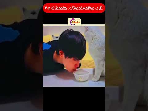 اغرب مواقف للحيوانات هتدهشك ج