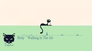 Birdy ~ Walking In The Air