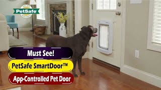 PetSafe SmartDoor™ Connected Pet Door Review 2026 | Ultimate App-Controlled Entry!