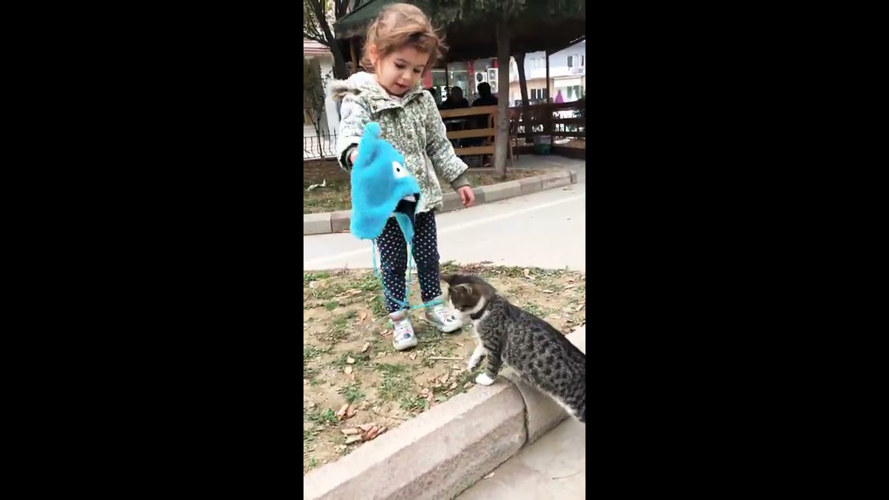 Tanem ve kedi sevgisi 🐈 YouTube