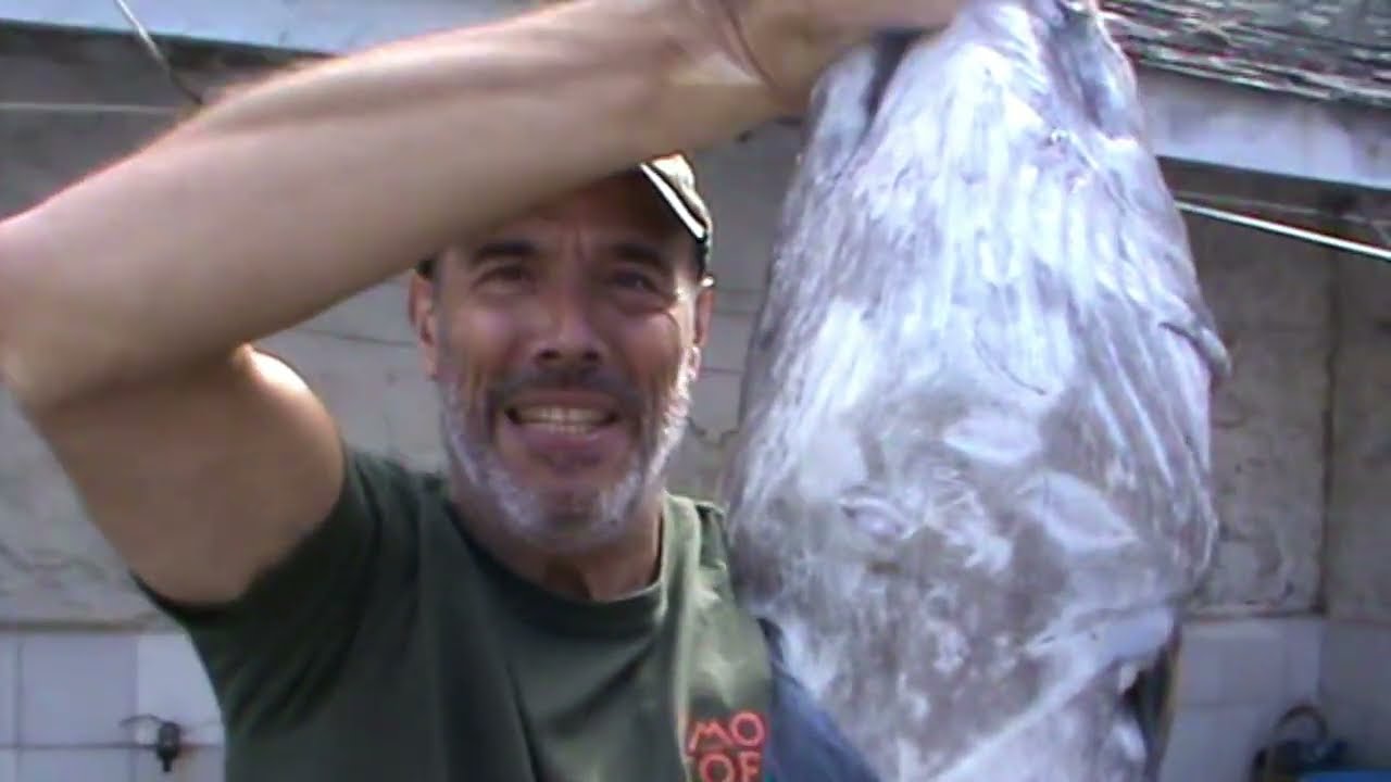 Pesca Submarina con un Gran Congrio en Asturias Paraíso Natural