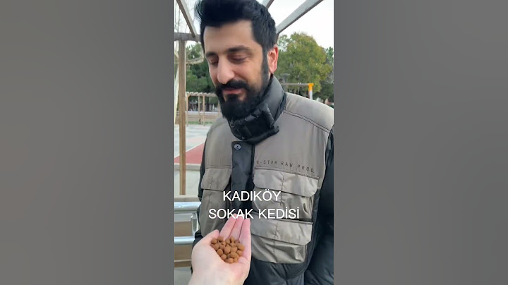 SEMTLERE GÖRE KEDİLER