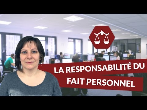 Vidéo: Que signifie préjudice personnel et publicitaire ?