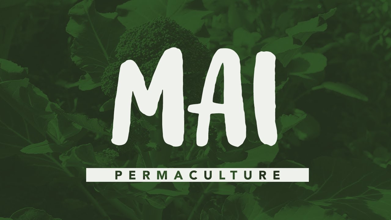 Que faire au jardin en Mai ? #permaculture #agroécologie