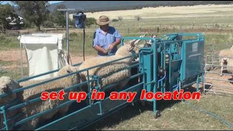 Peakhandler Crutching  PH